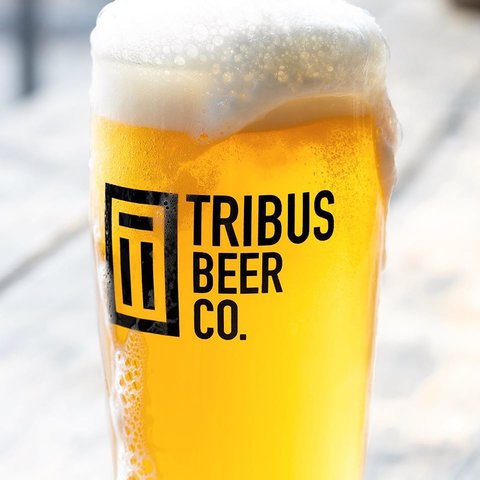 Tribus Beer Co.