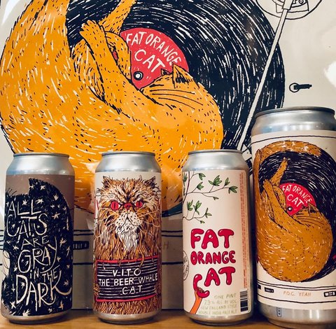 Fat Orange Cat Brew Co.